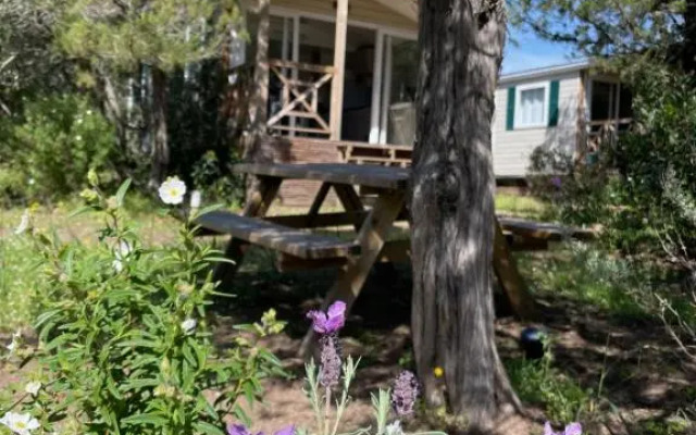 Palombaggia location i pini