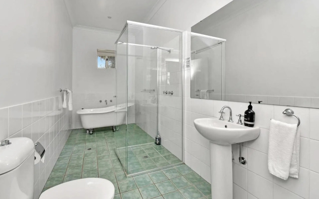 Olives and Vines at Majors Lane