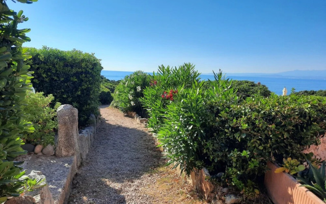 Porto Quadro Vista Corsica