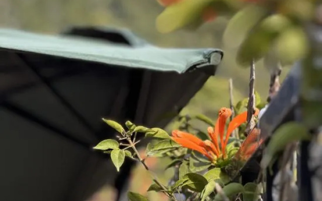 Yihuaxuanting Homestay (Kunming Dianchi Haitang Dam)