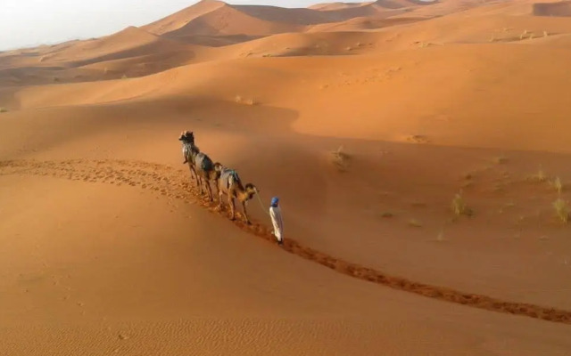 Camels House