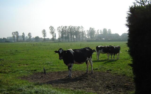 B&B De Kleine Prins
