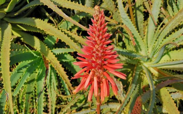 The View Holiday Home