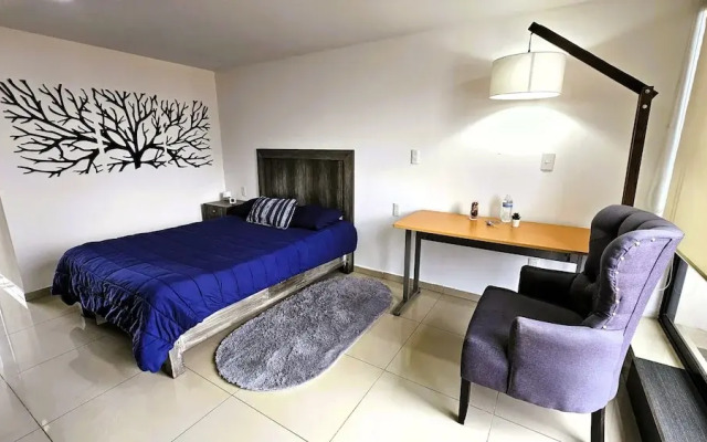 S01 Suite 2 min del TEC Wifi Terraza
