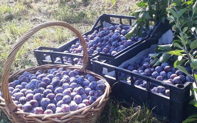 B&B Cascina Sant'Elena