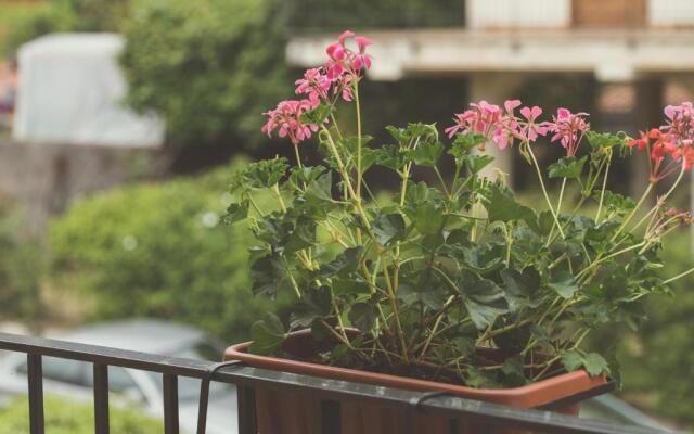 B&B Alle Falde Dell'Etna