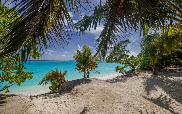 Thoddoo beach view Maldives
