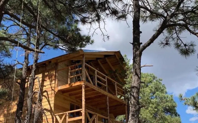 Cabaña el Pino 1