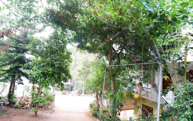 Wind Valley Farmstay