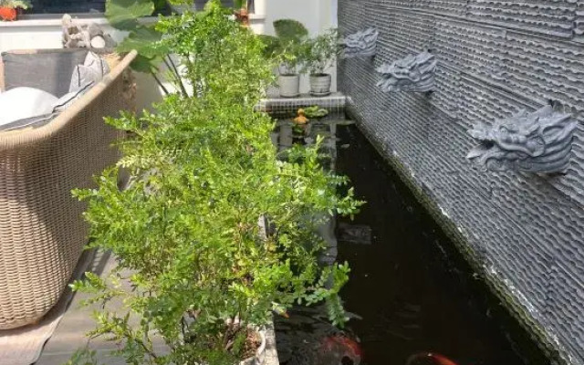 Long Island Dongmei Homestay