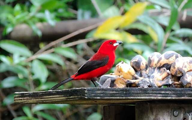 Pousada Sitio das Flores