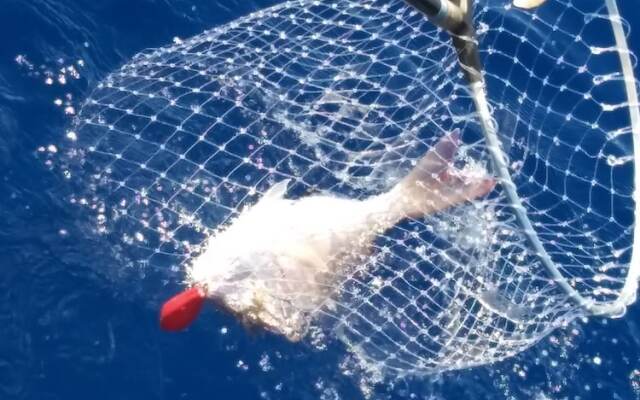 Seafront House Le Finestre Sul Mare With Balcony