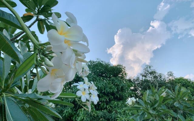 Khun Mai Baan Suan Resort