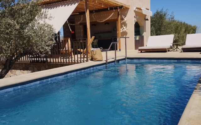 Alma Liebre Viñedos del Valle