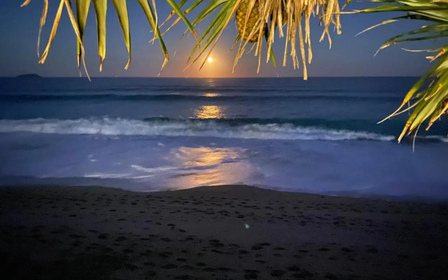 Hampton on the Beach