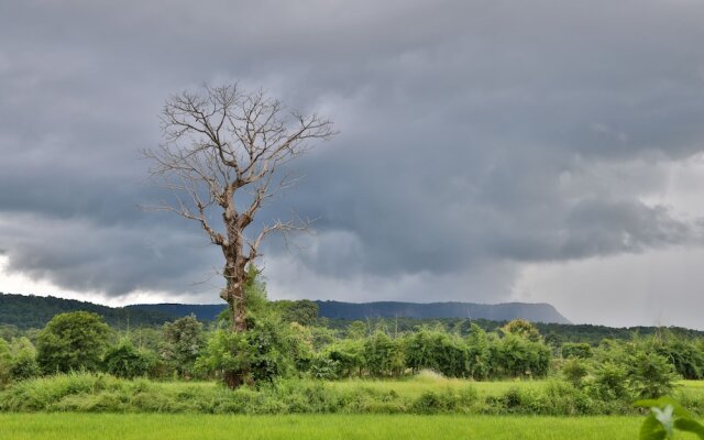 The Untamed Bandhavgarh by TUTC