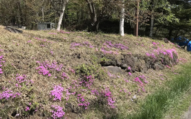 Pension Tengallonhat