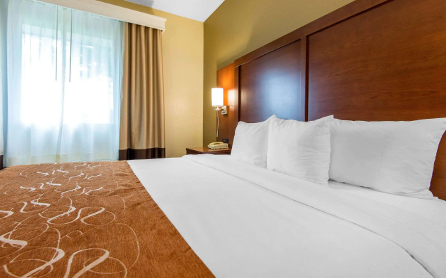 Comfort Suites Rochester Henrietta University Area