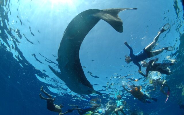 Rincodon Hotel Maldives