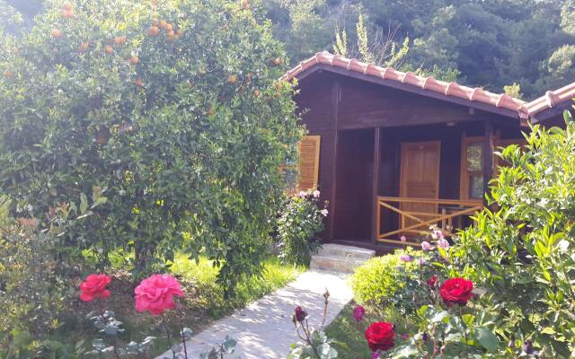 Cirali Olympos Hotel