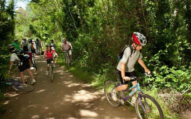 El Rincón de San Benito