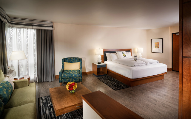 Staypineapple, Watertown Hotel, University District Seattle