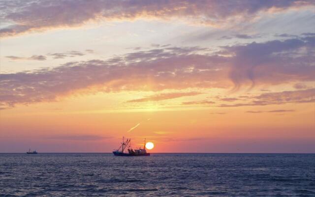 Dutch African Breeze