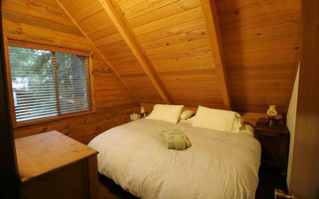 Snowline Cabin #35 - A Pet-friendly Country Cabin. Now has air Conditioning!