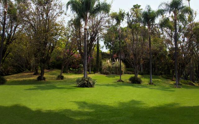 Racquet Cuernavaca