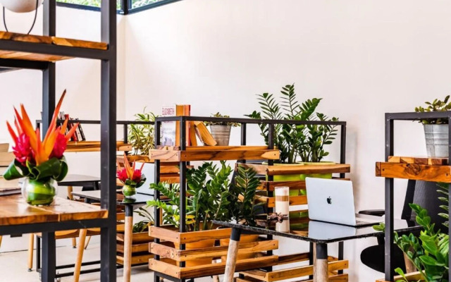 In the Shade Hotel - Coworking - Adults Only