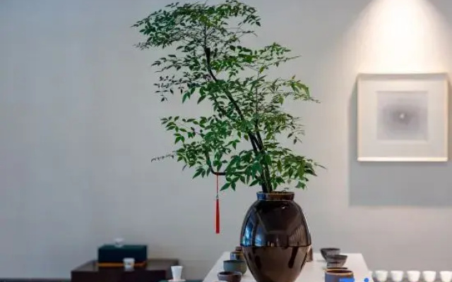 Zhoushan Puzhen Narada Resort Hotel