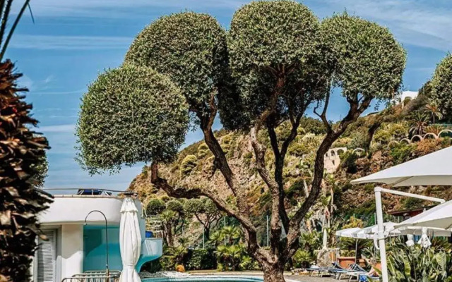 Hotel Zaro
