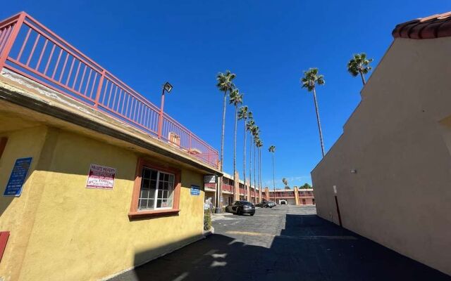 Palm Tree Inn
