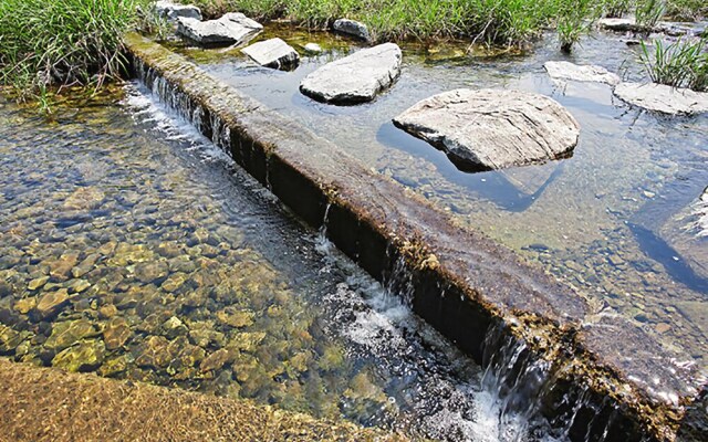 Yangpyeong Clear Water Pension