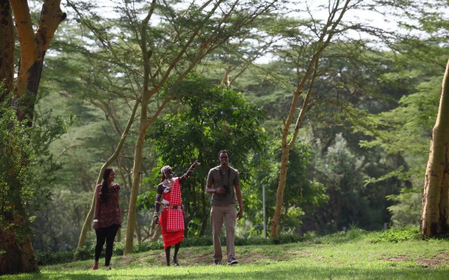 Sarova Lion Hill Game Lodge
