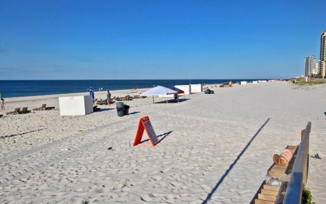 Phoenix V1008 by Youngs Suncoast