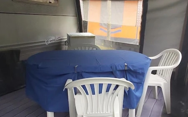 Mobile Homes Surrounded by Greenery