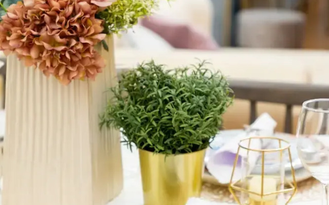 Lumiere Higashi Shinsaibashi St27