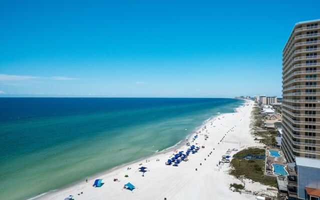 Treasure Island 1209