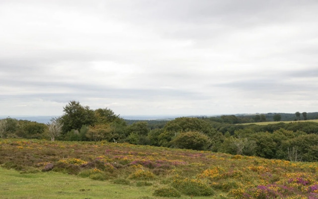 Little Fulford Barn