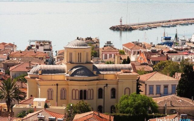 Siyah Lale Cunda 1841