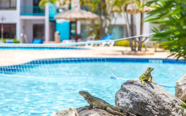 The Mill Resort & Suites