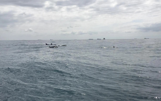 Umhlanga Beach Front 4 Sleeper