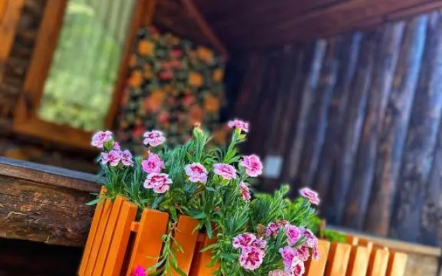 ZeytinDagi Bungalow Butik Otel