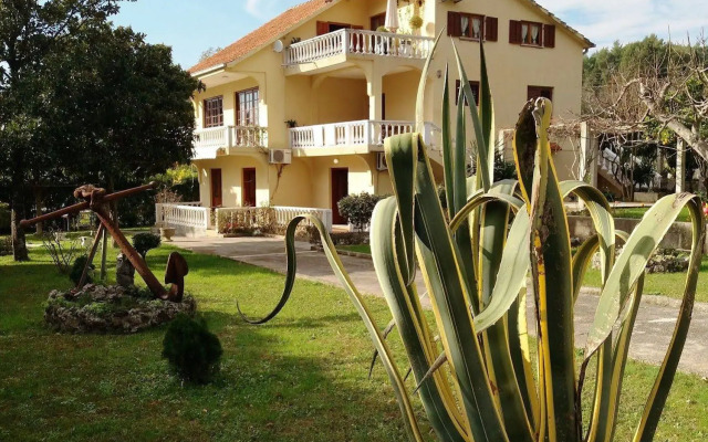 Apartmani Petkovic