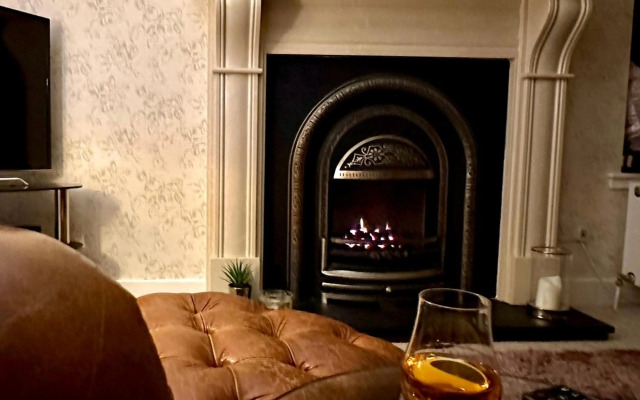 The Little Beech Tree