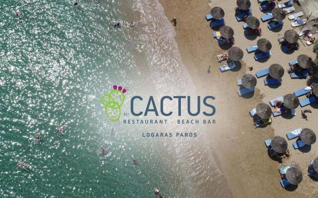cactus beach paros
