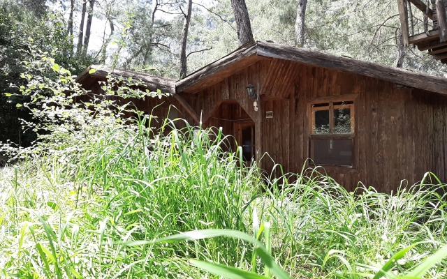 Altaris Bungalows Olympos
