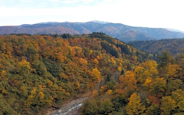 Iiyama - Hotel / Vacation STAY 55490