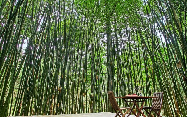 Azabu Retreat & Spa